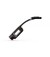 Adapter CHAdeMO for USA Tesla